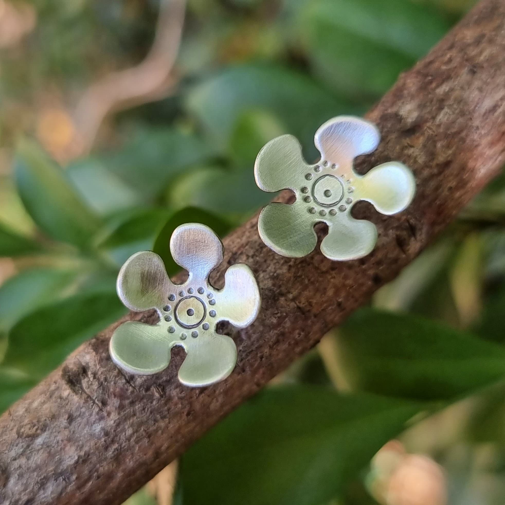 Geraldton Wax Flower Studs — Jemica Ostrofski