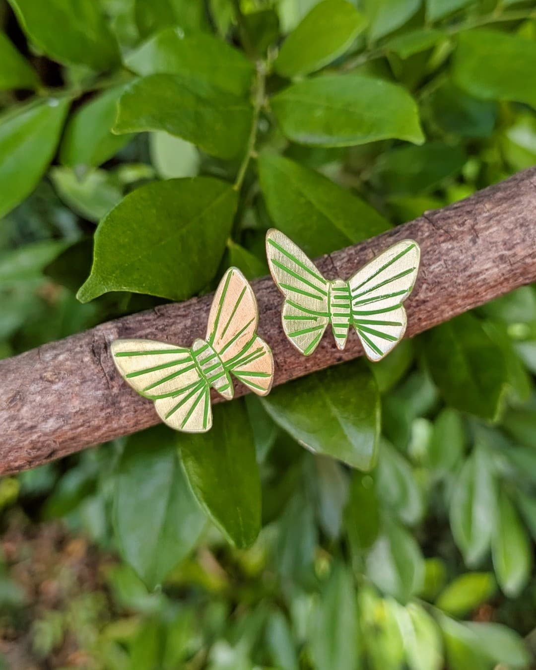 Parotis Marginata Butterfly Studs — Jemica Ostrofski