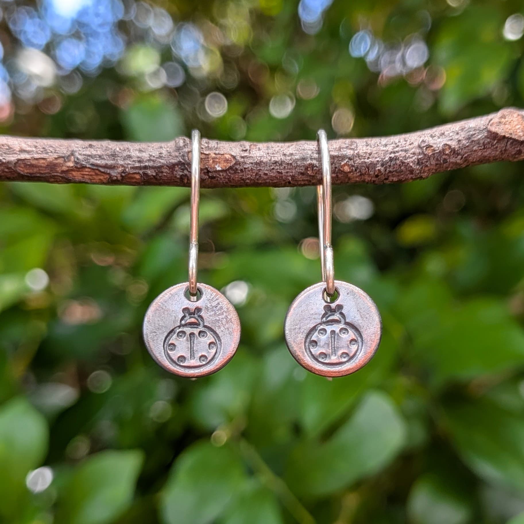 Ladybeetle Small Round Drop Earrings — Jemica Ostrofski