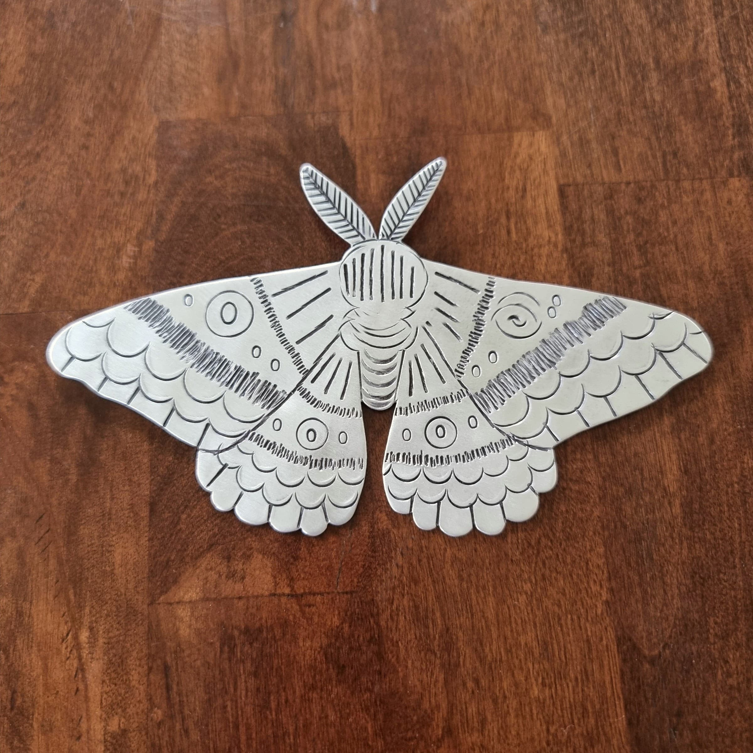 Bogong Moth Wall Art — Jemica Ostrofski