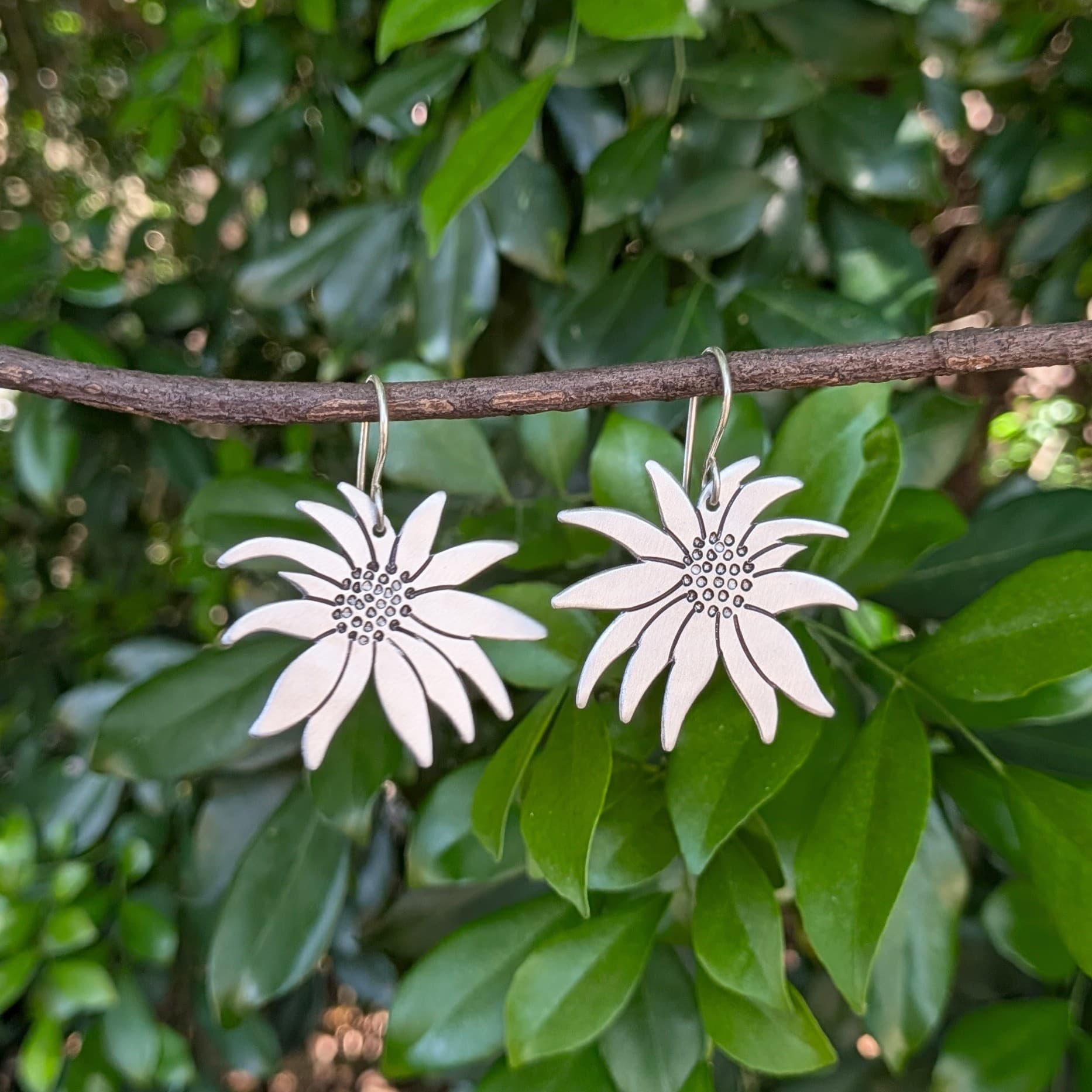 Flannel Flower Drops — Jemica Ostrofski