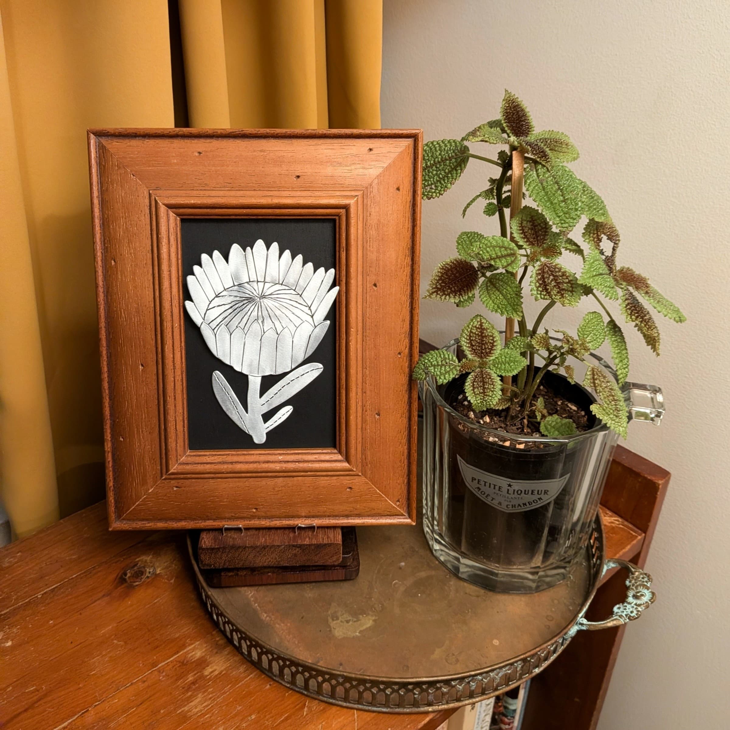 King Protea Wall Art — Jemica Ostrofski