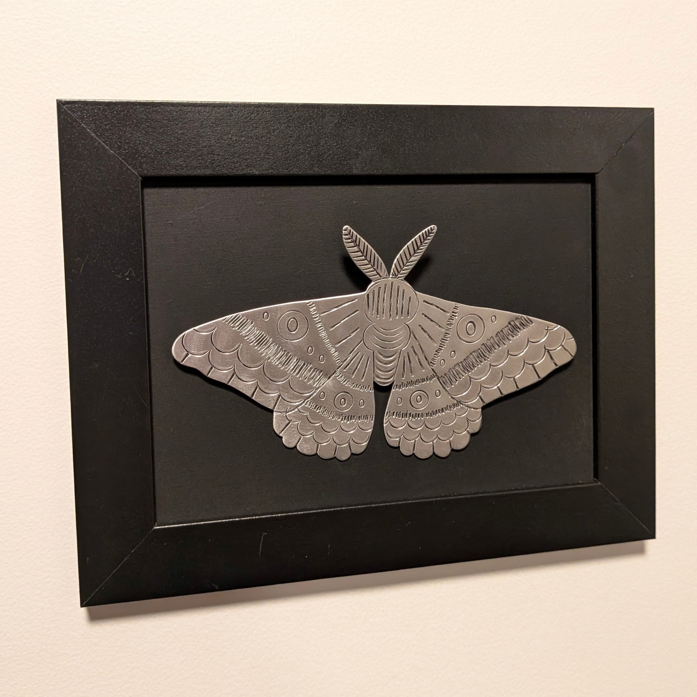 Bogong Moth Wall Art — Jemica Ostrofski