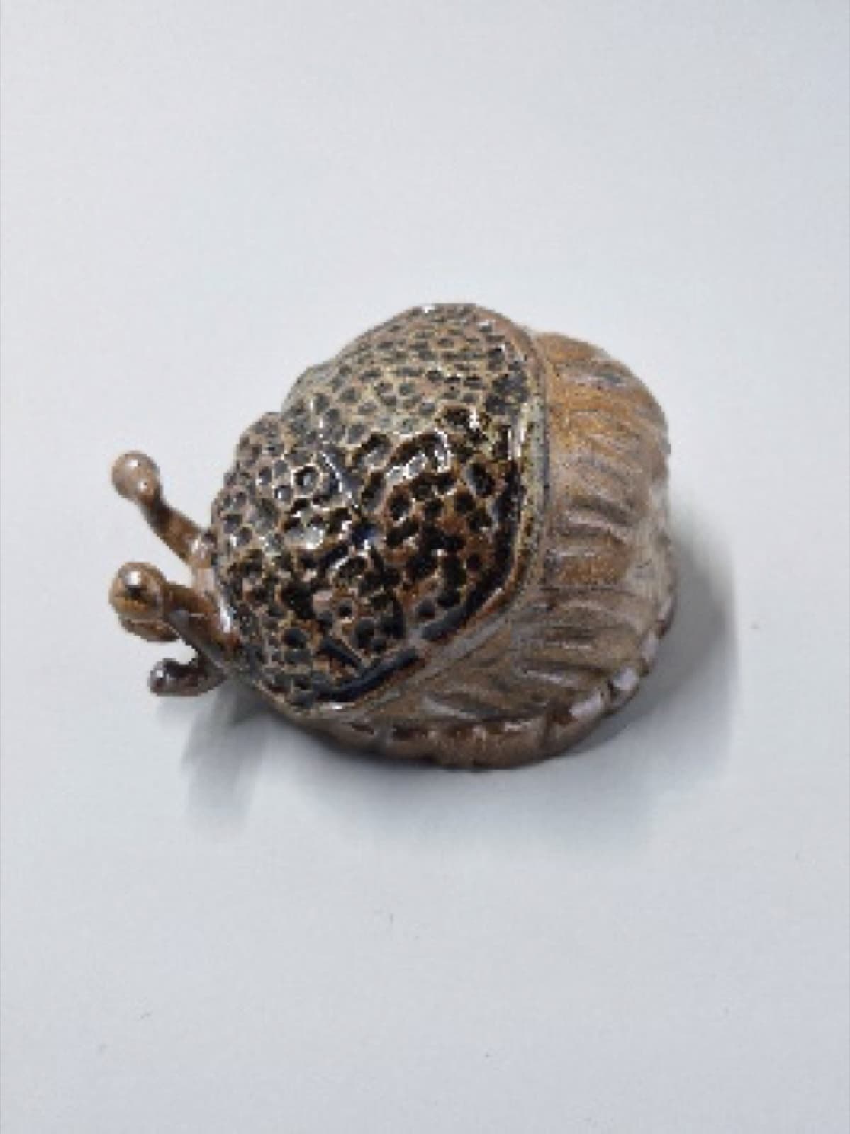 Turtle — Cilla Russell