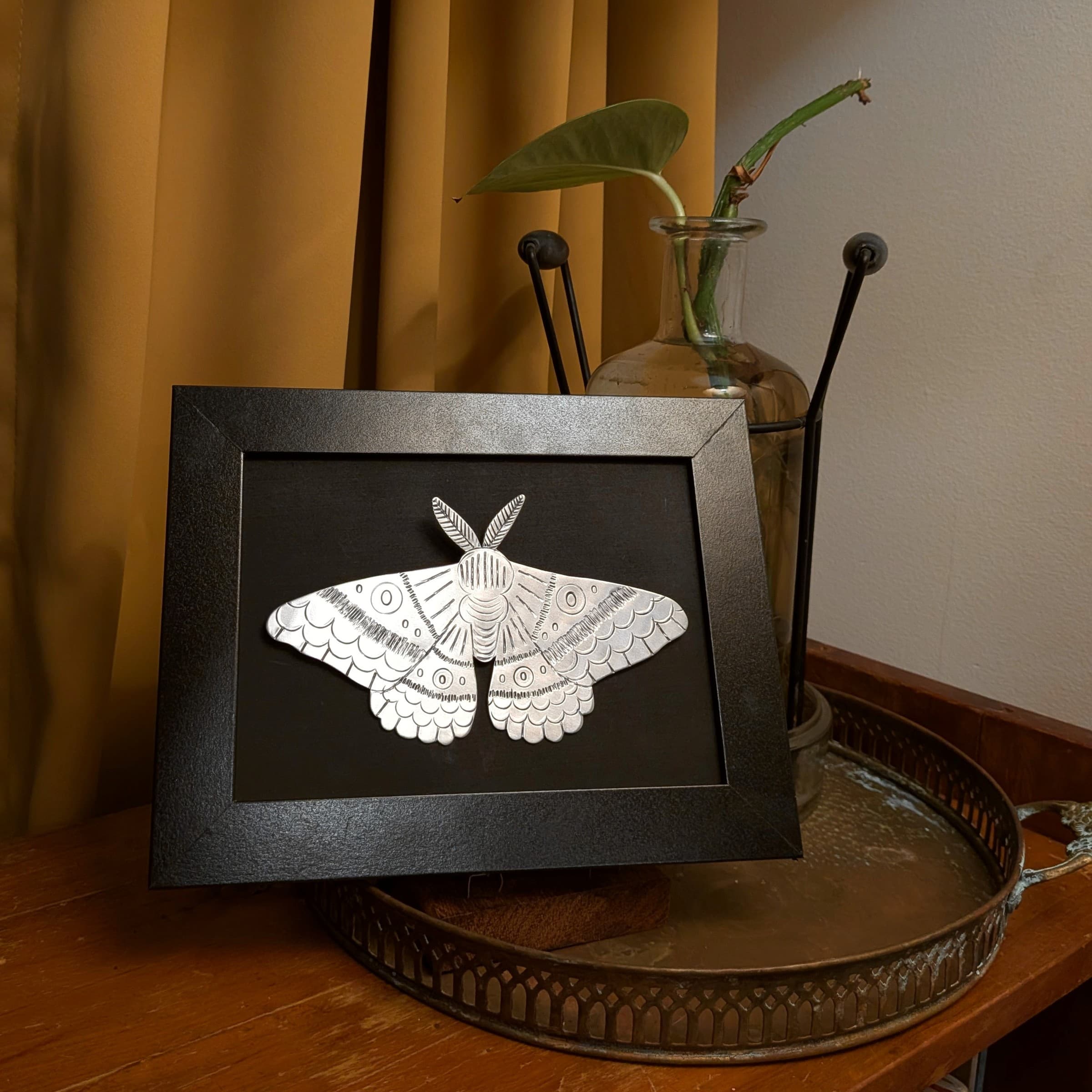 Bogong Moth Wall Art — Jemica Ostrofski