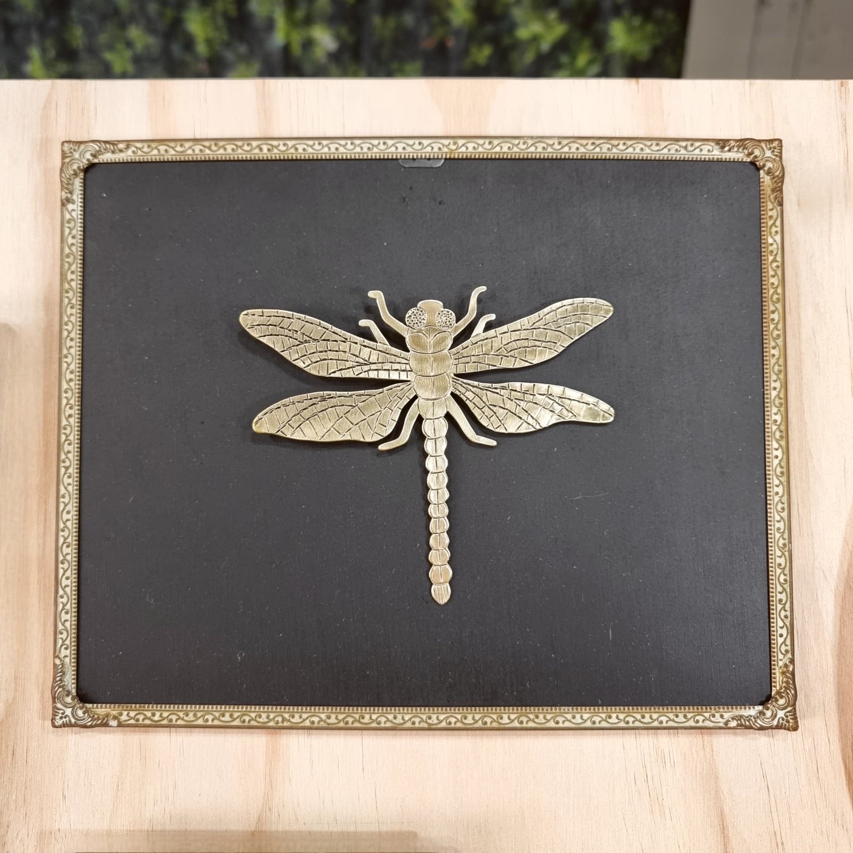 Dragonfly Wall Art - Framed — Jemica Ostrofski